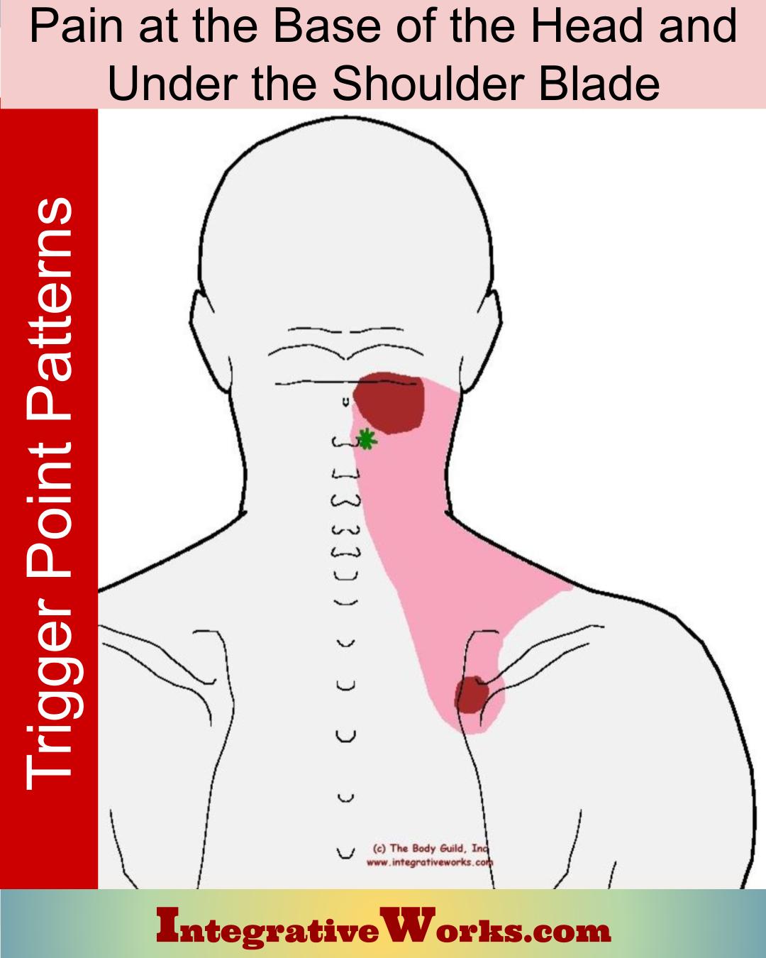 Pain at the Base of the Head and Under Shoulder Blade