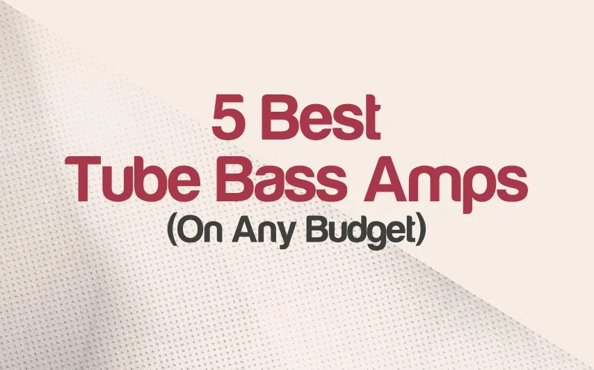 Top 5 Tube Bass Amps 2024 For Warmth & Depth