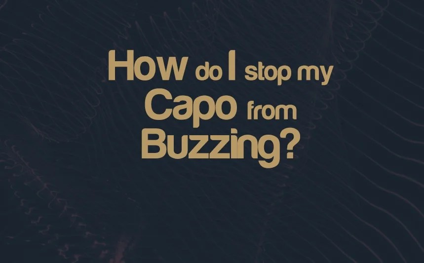 Integraudio Audio Plugin Reviews, Tips, Guides & Tutorials For Music