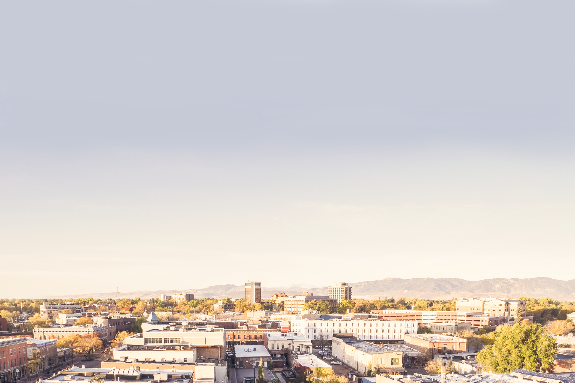 Contact Integrity Realty