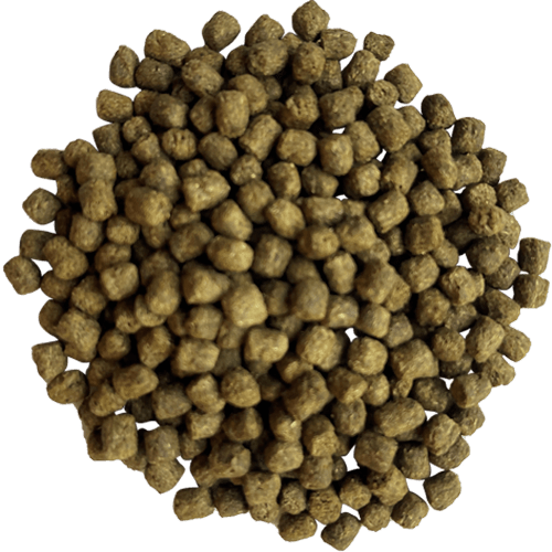 Extruded with Teff ᐅ Integrity Horse Feed ᐅ Low Starch Forage