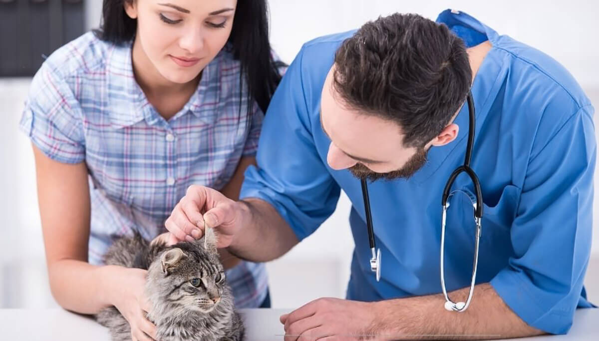 Veterinary Compounding Integrum Compounding Centre Compounding Lab