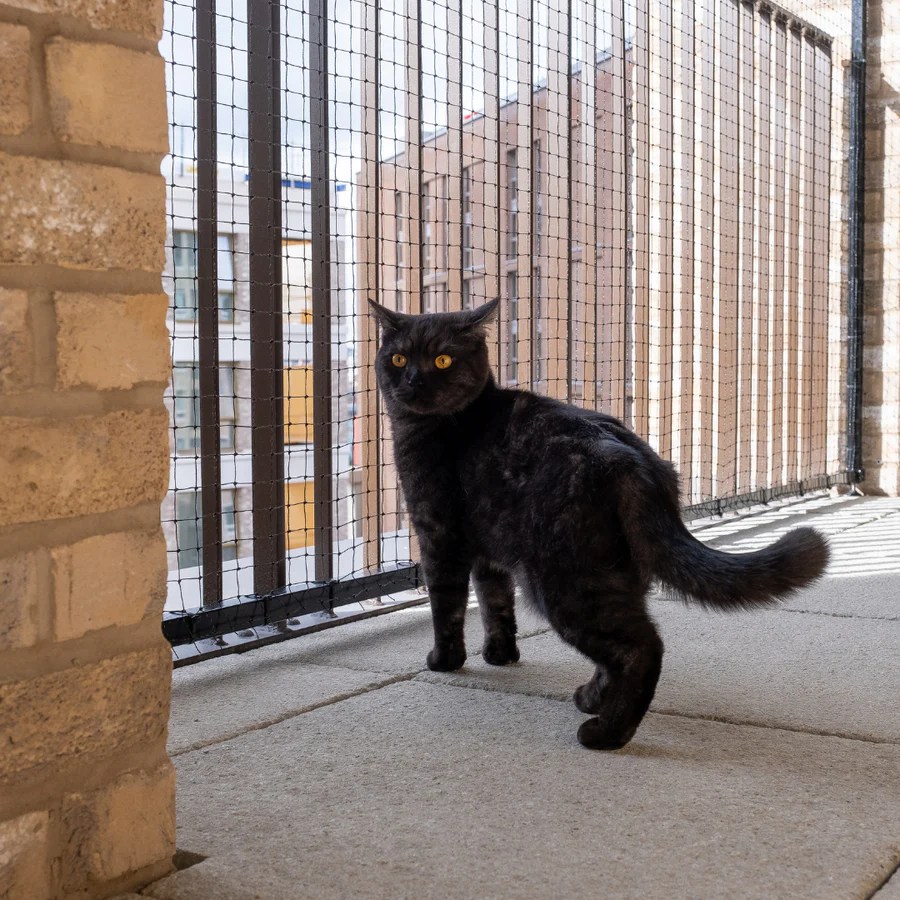 Cat Proof Balcony Specialists London Integrum Services