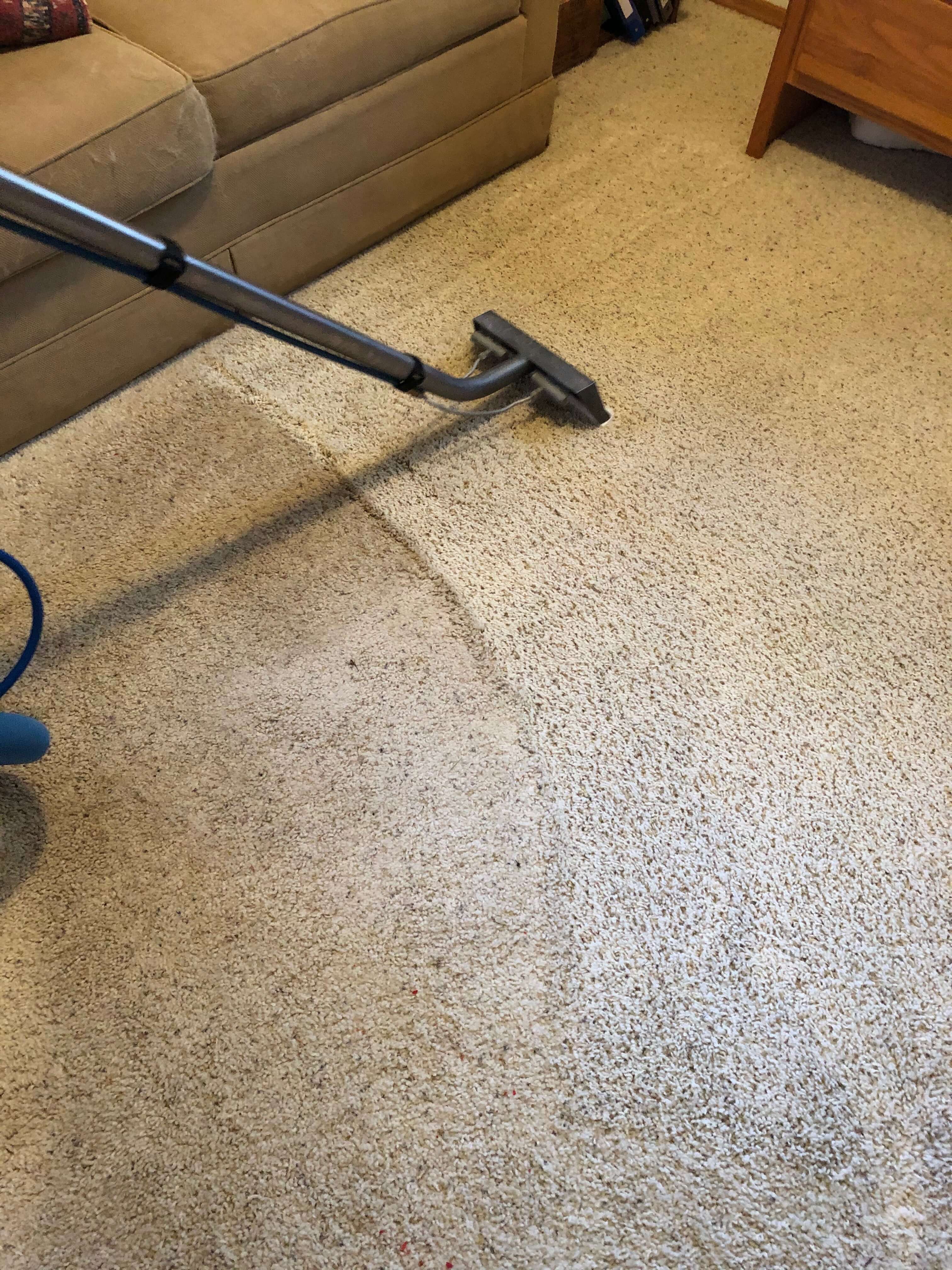 Carpet Before and After 3 INTEK Cleaning & Restoration