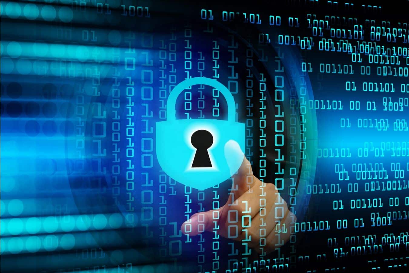 Protección de datos personales
