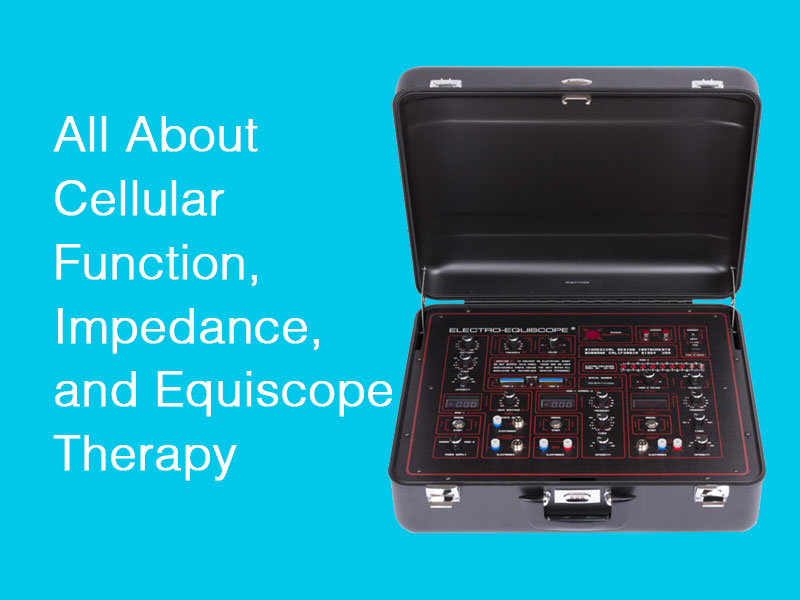 Intelligent Bioenergetics All About Cellular Function, Impedance, and