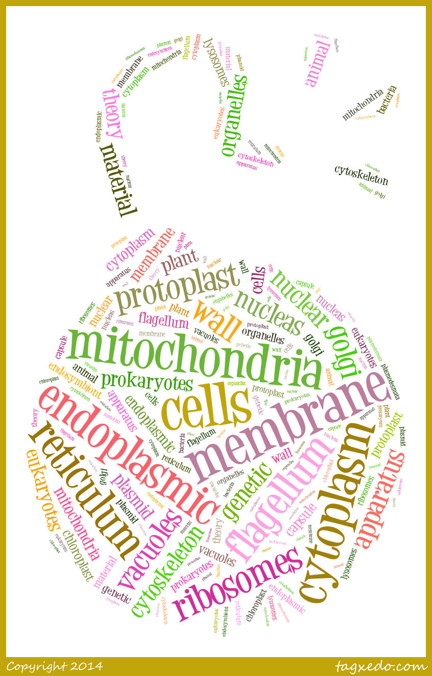 Cell Wordle IntellectualBiochemists