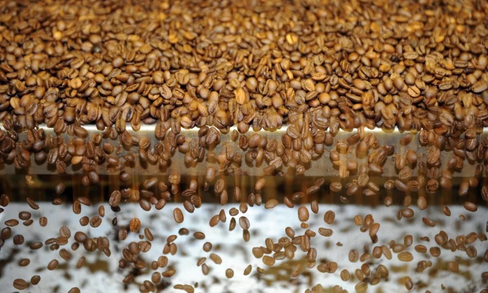 How a 17thcentury “coffee tax” is crippling Germany's roasters