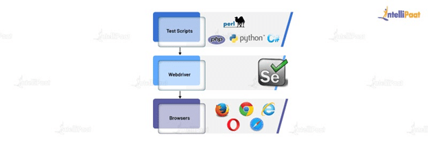 Selenium Python Tutorial Learn Selenium WebDriver Using Python