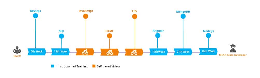 Full Stack Web Developer Learning Path codedamn