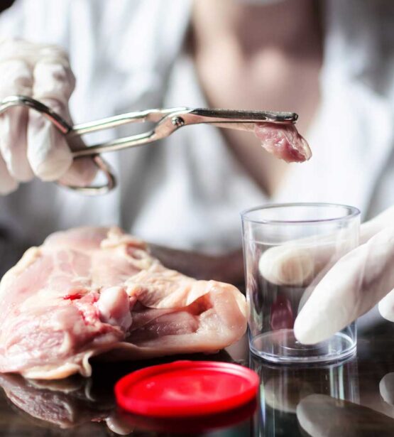 BioTherm 15 Dry Ice Intelsius UK