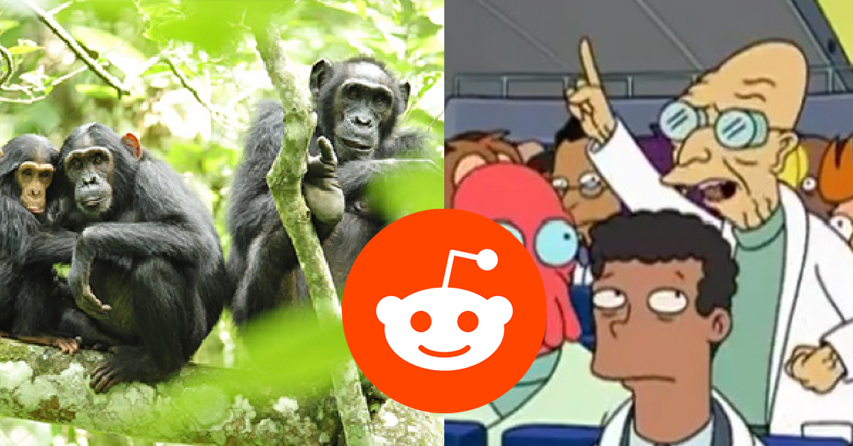 10 Of The Best Reddit AMAs