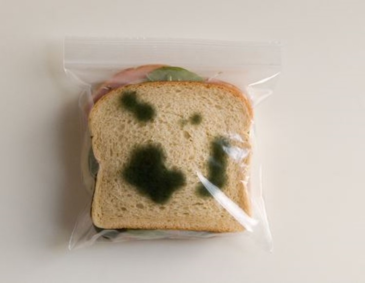 Stop lunch thieves with the AntiTheft Lunch Bags