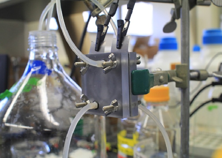 This New Technology Generates Electricity When Fresh Water Meets Saltwater