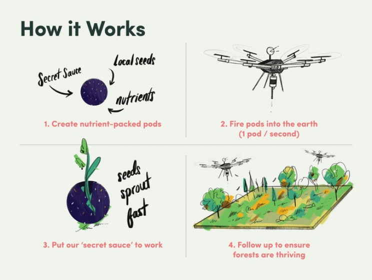 These Drones Will Plant 1 Billion Trees in Just 8 Years