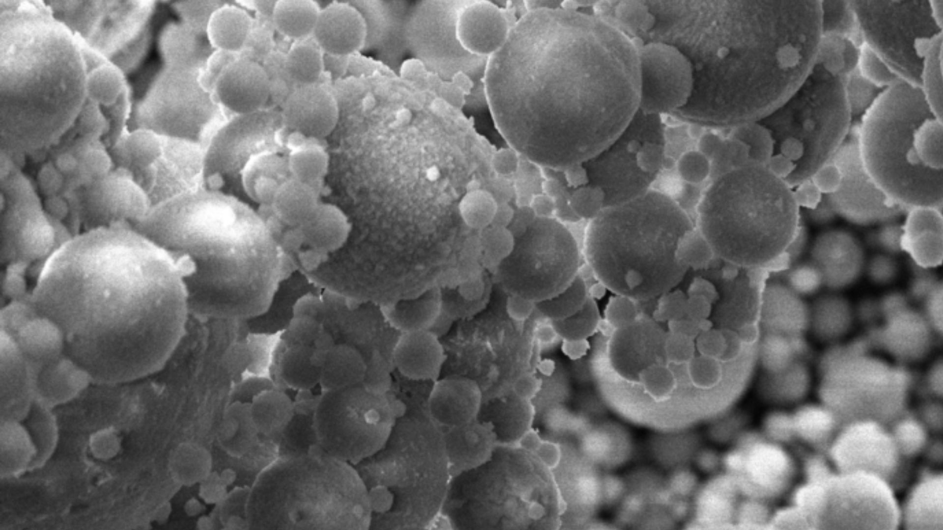 Scientists extracted precious rare earth elements from waste