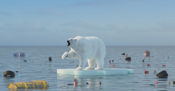 Polar Bears Could Be Extinct by 2100 Due to Climate Crisis
