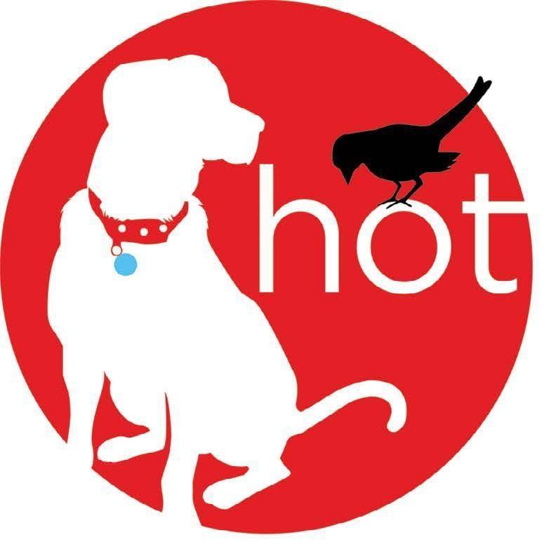 Hot Diggity Dog Walking & Pet Sitting Intentionalist