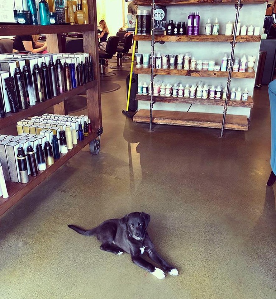 Joe Bae Salon Intentionalist