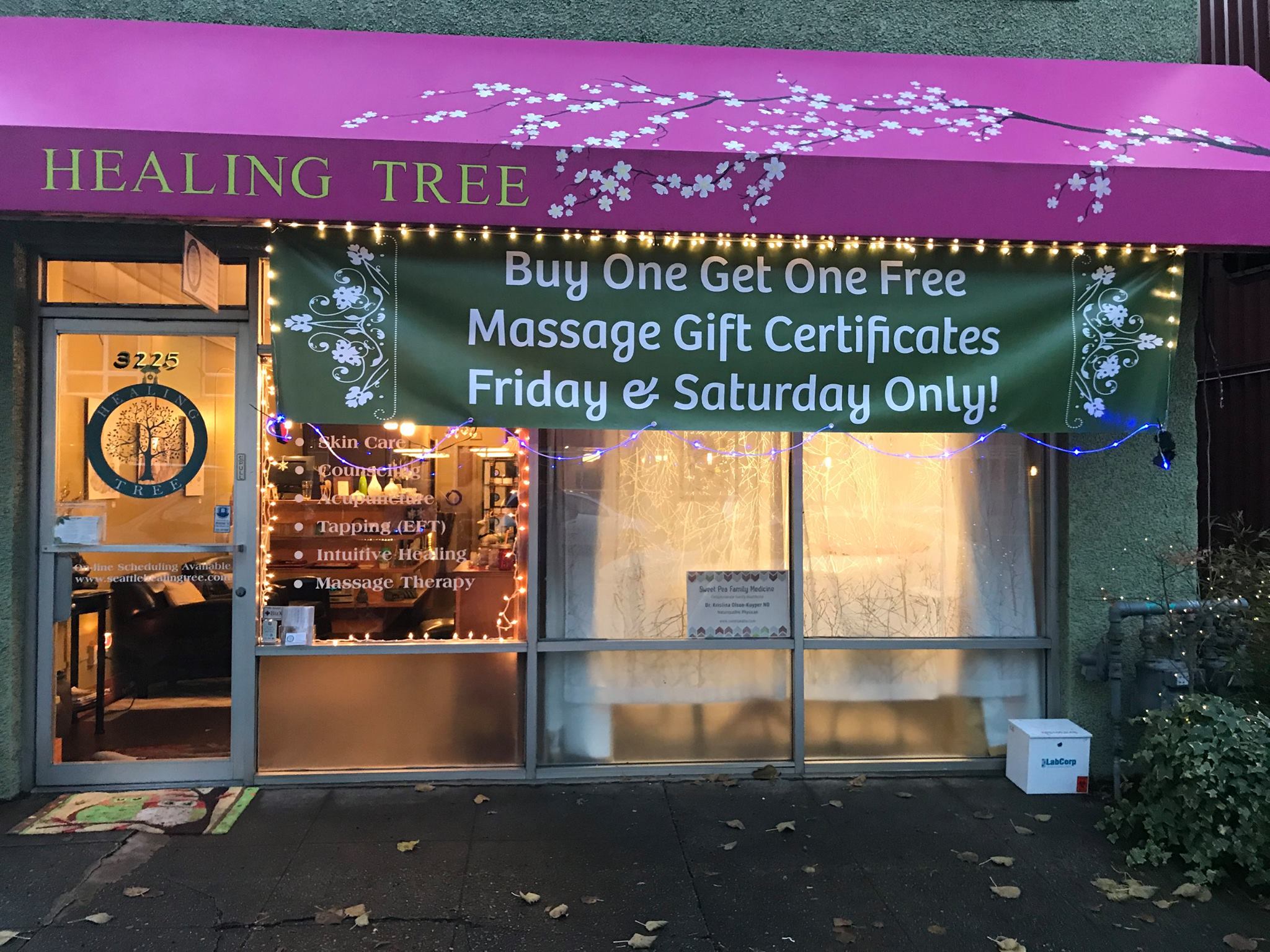 The Healing Tree Intentionalist