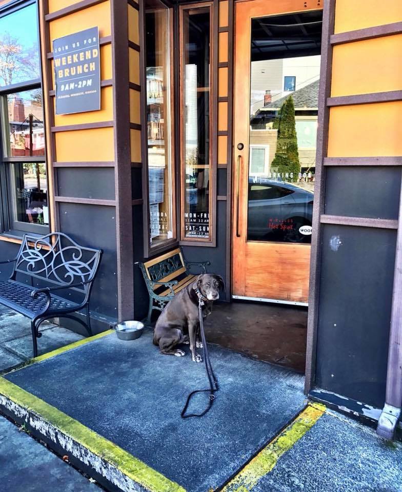 The Barking Dog Alehouse Intentionalist