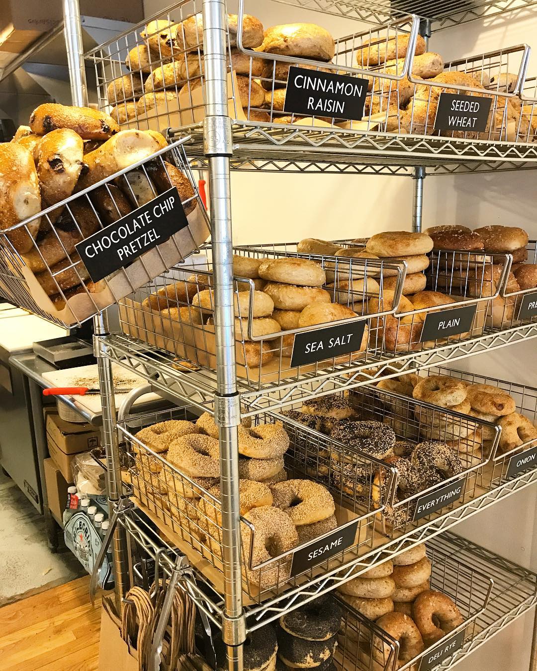 Bagelsaurus Intentionalist