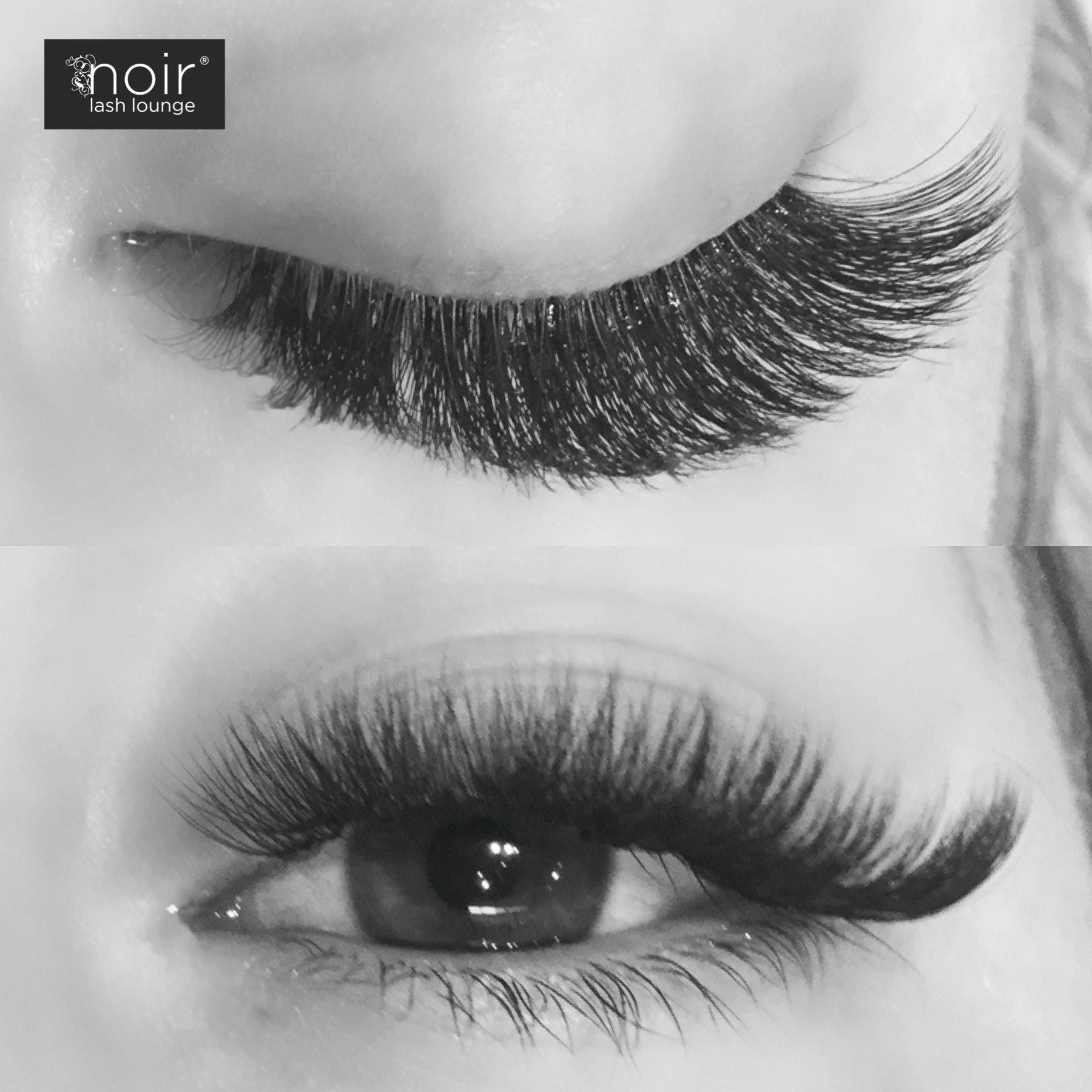 Noir Lash Lounge Bellevue, WA Intentionalist