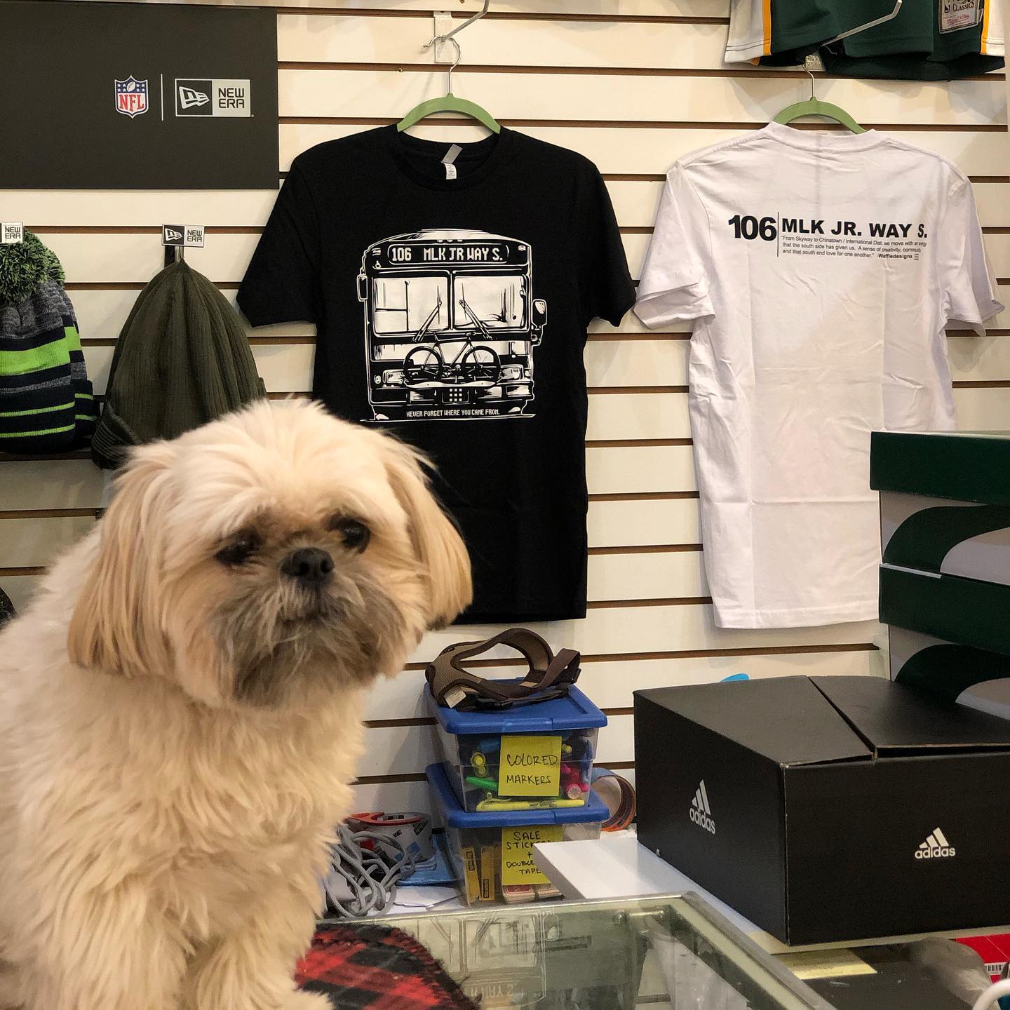 Seattle Sneaker City Intentionalist