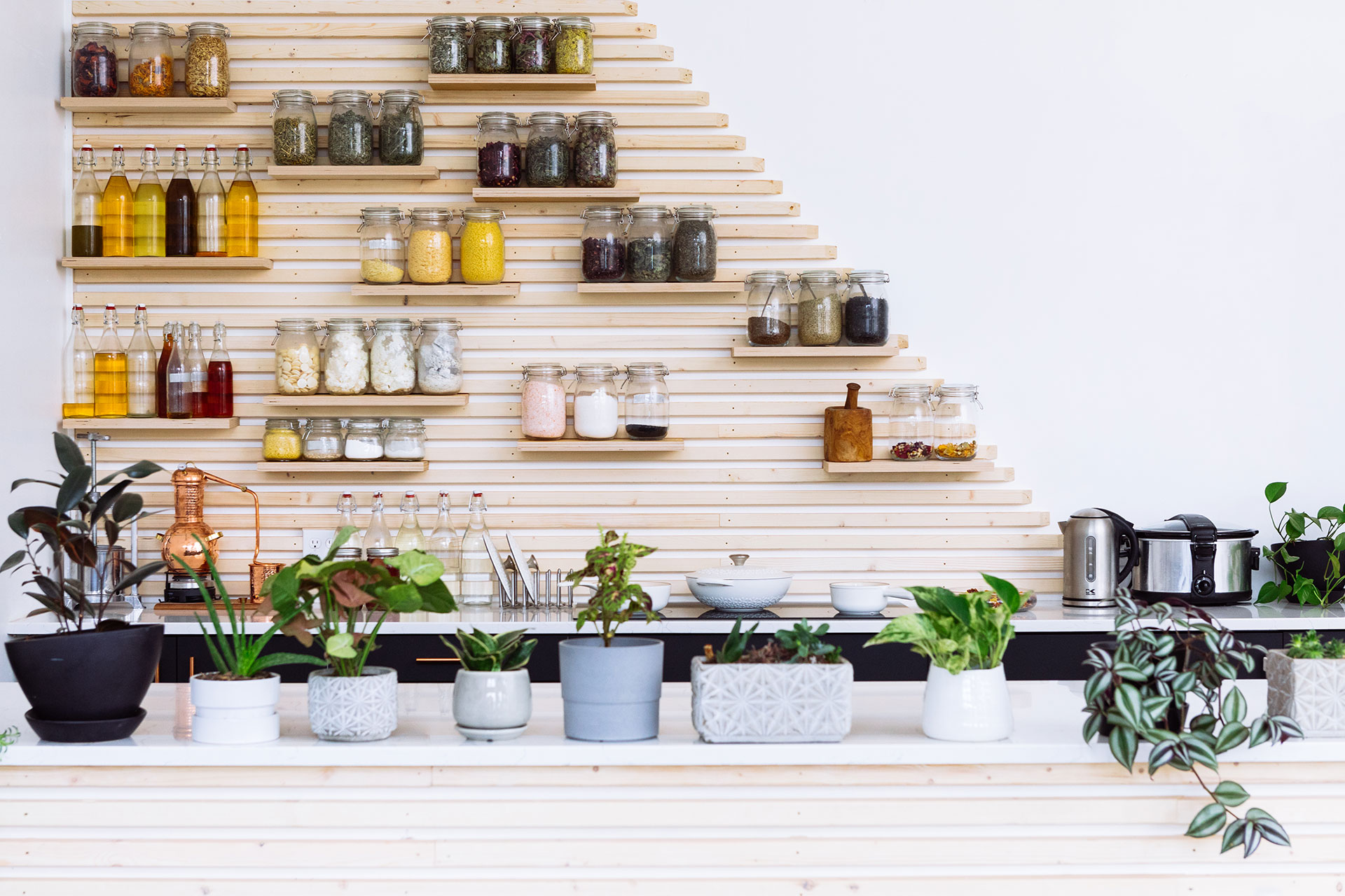 Blendily Botanic Kitchen Portland Intentionalist