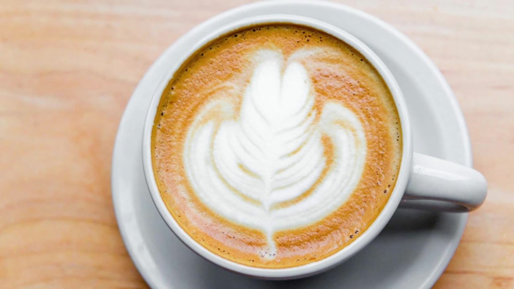 Darwin’s Ltd. Mt. Auburn Street Intentionalist