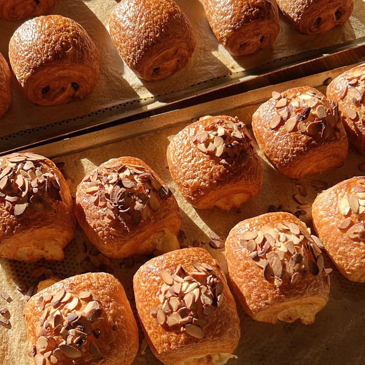 Darwin’s Ltd. Cambridge Street Intentionalist