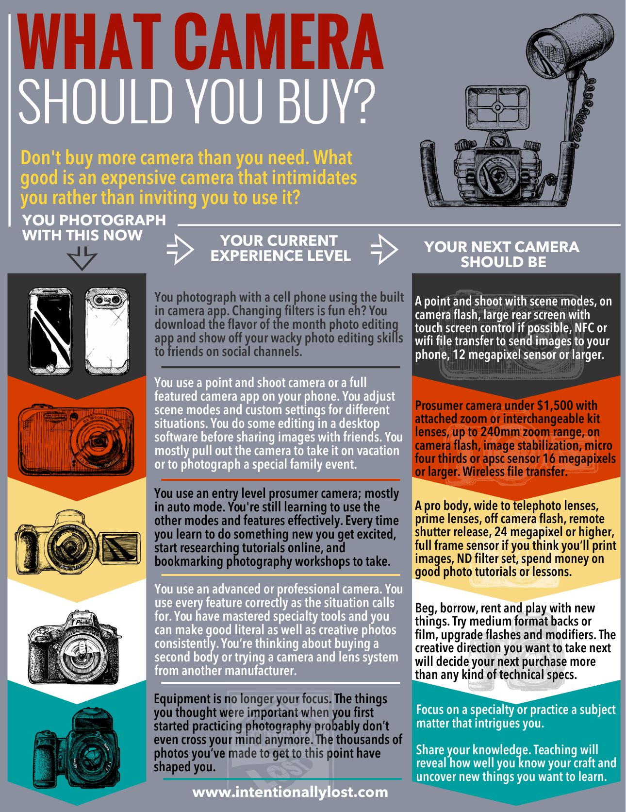 What camera should you buy next based on your current experience level?