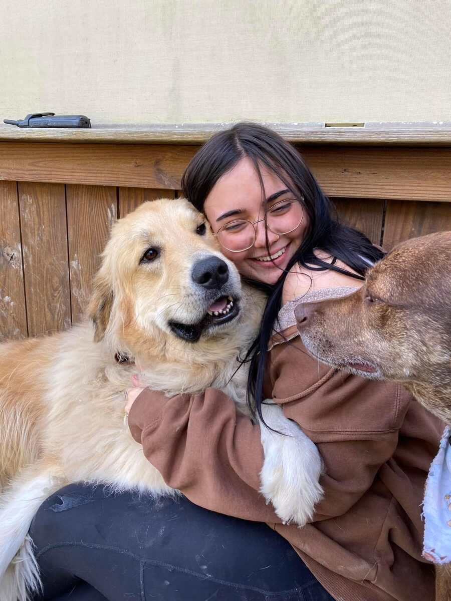 Pets Pal Inn Our Facility Pawville