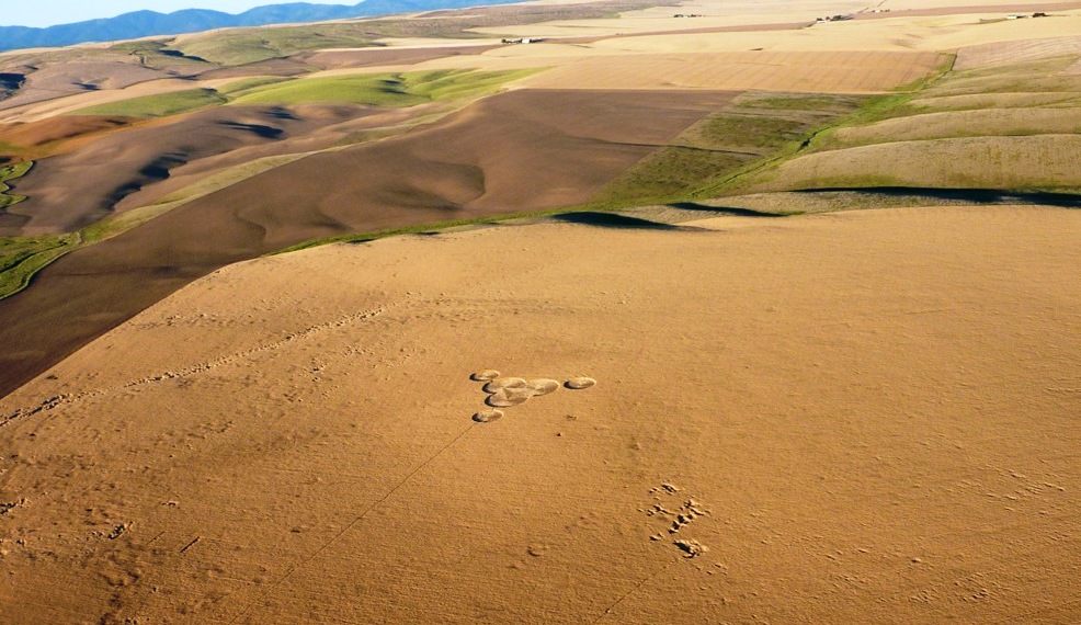 Pleiadean InterIntelligence Communications InterIntelligence