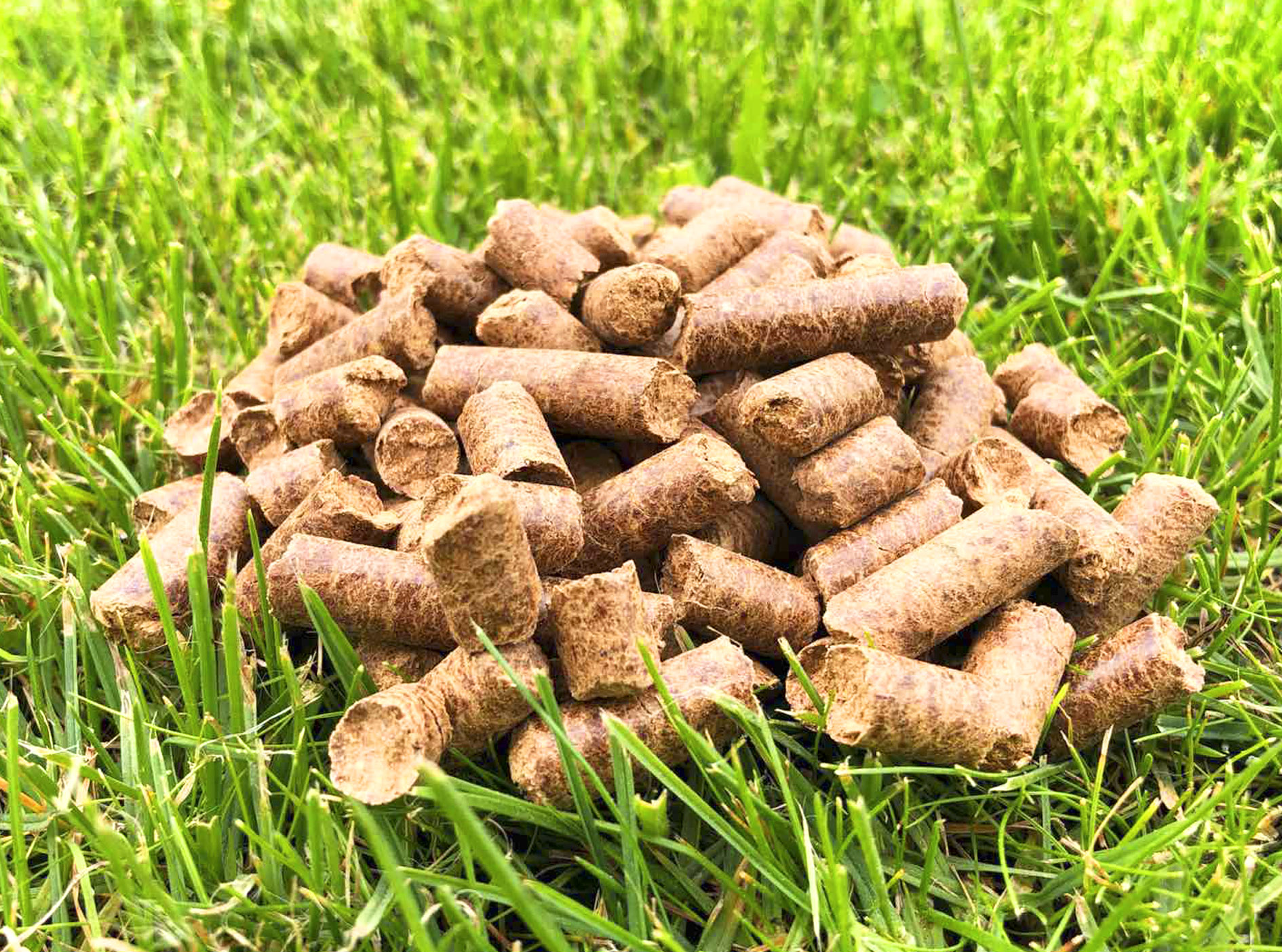 Oak wood pellets «КОМПАНІЯ ІНТЕРЛІС»