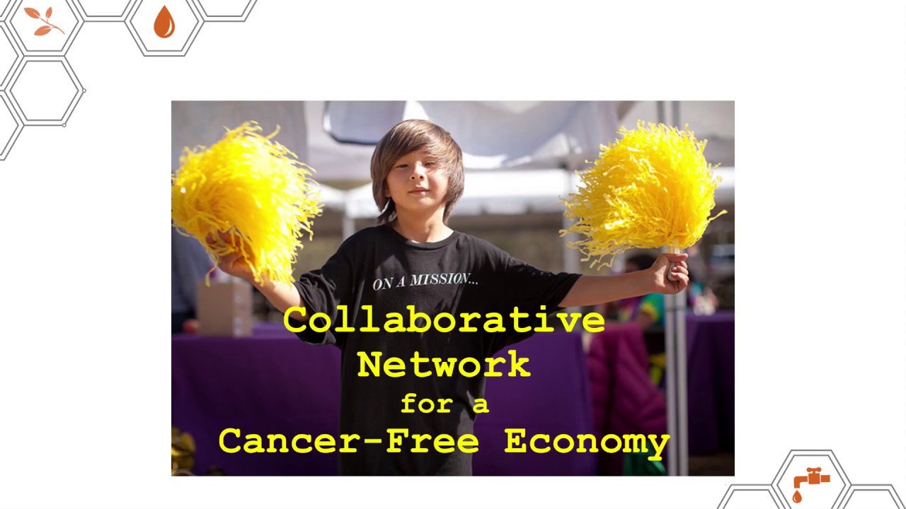 Network Story Connecting Health And Environment Solutions Across Sectors And Communities