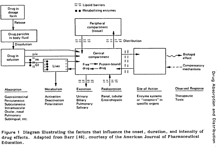 DrugFlowDiagram.html