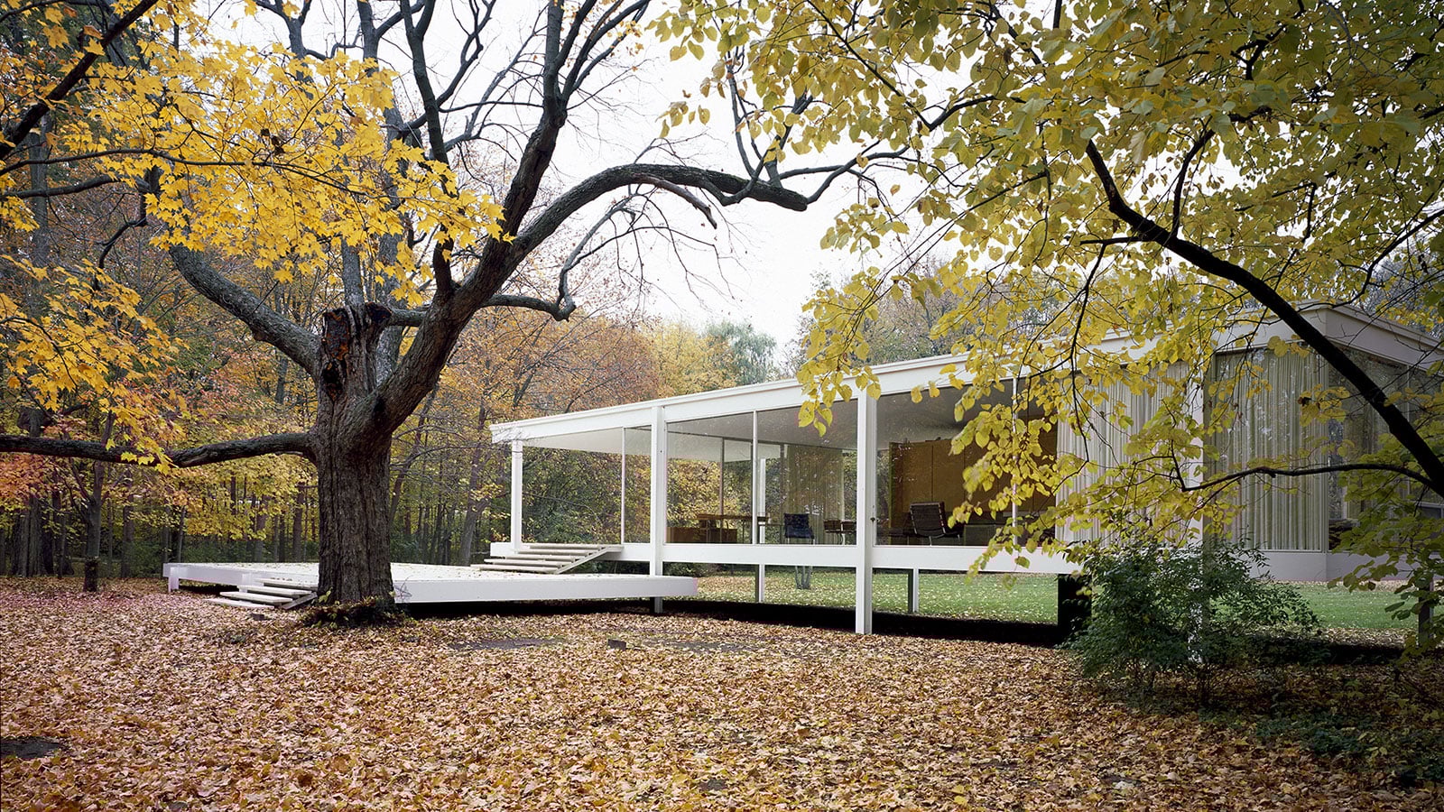 The Farnsworth House WTTW Chicago