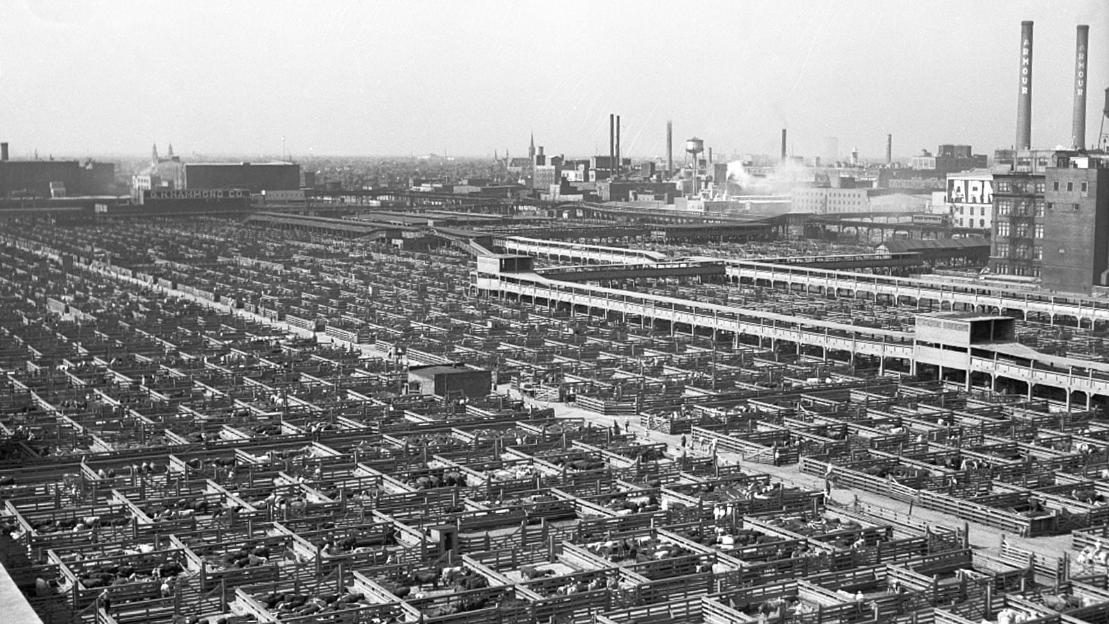 Back of the Yards Neighborhoods Chicago by 'L' WTTW Chicago