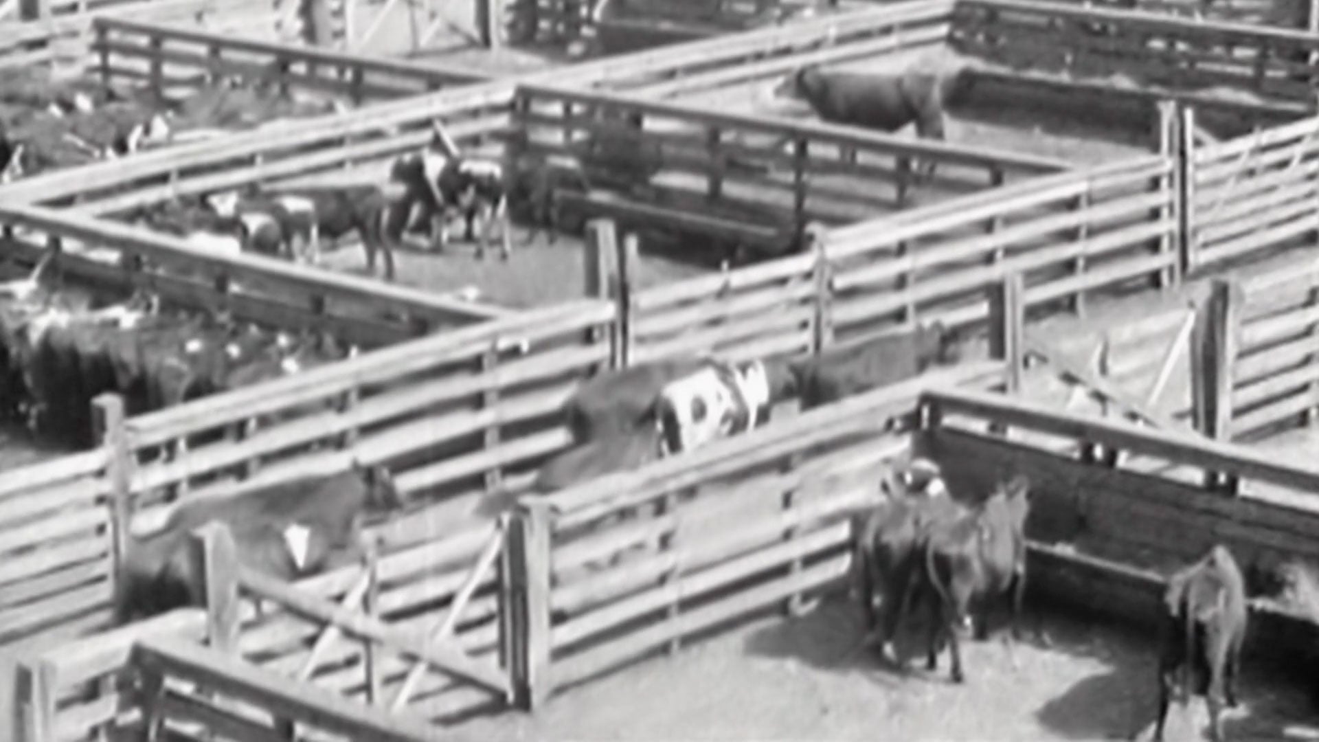 Back of the Yards Neighborhoods Chicago by 'L' WTTW Chicago