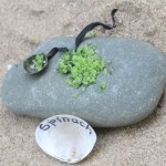 Spinach salt