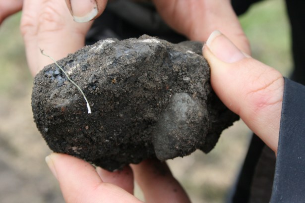 below the soil