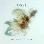 fossil jacket