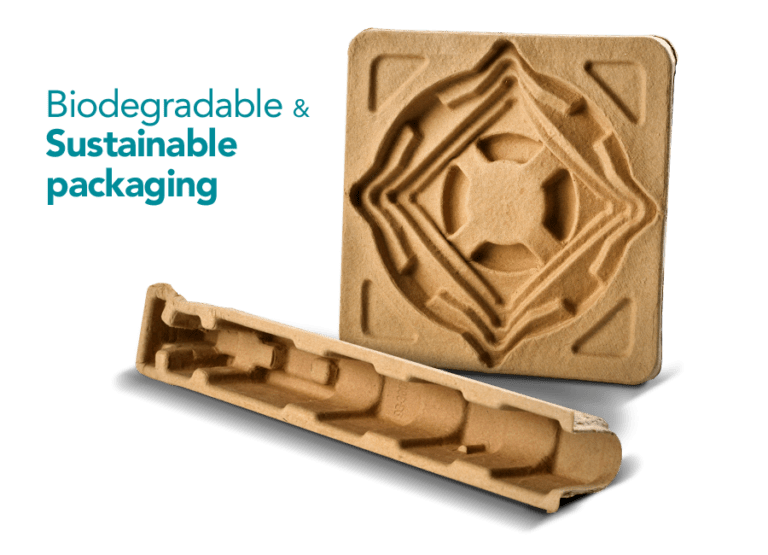 MOLDED PULP Interbrands Packaging