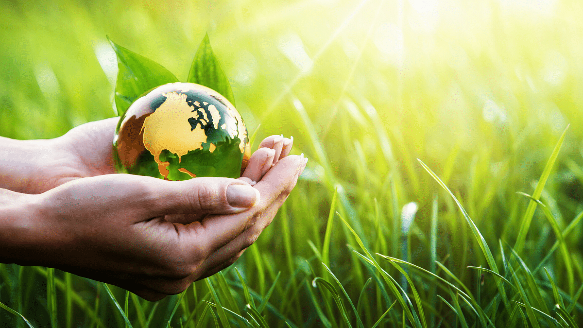 Environmentally Friendly Cards Intercard