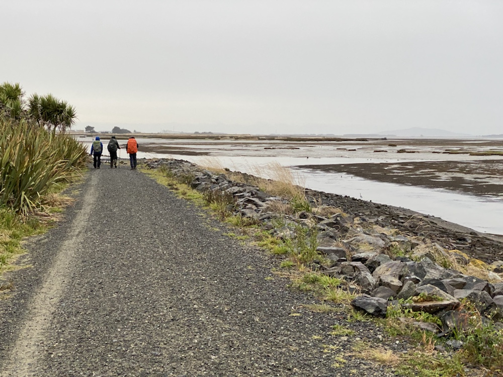 Invercargill to Bluff Last Day Walking The Interconnected View