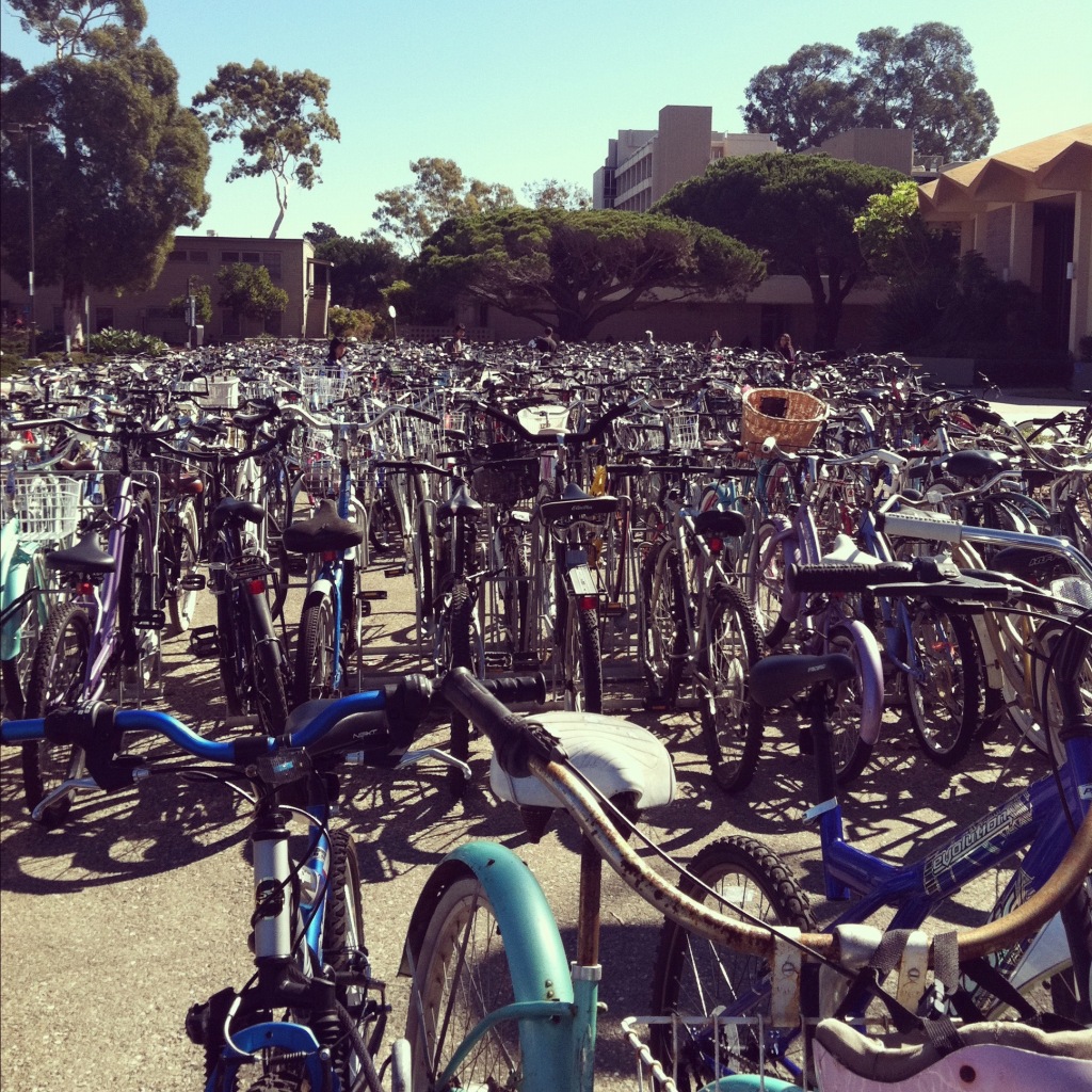 postaday2011 Interdisciplinary Charm