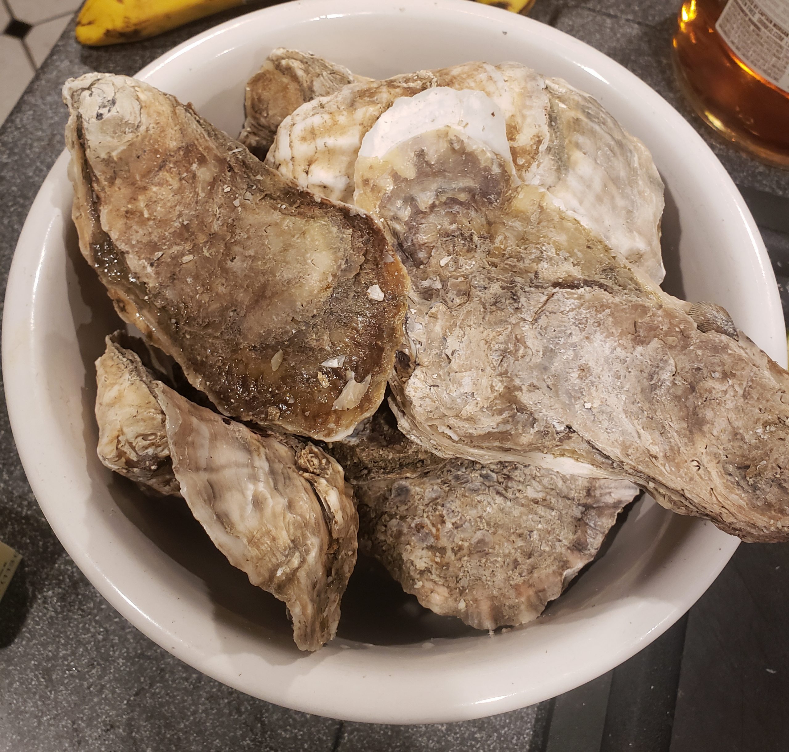 Roasted Quail Egg Oysters Interesting Feedings