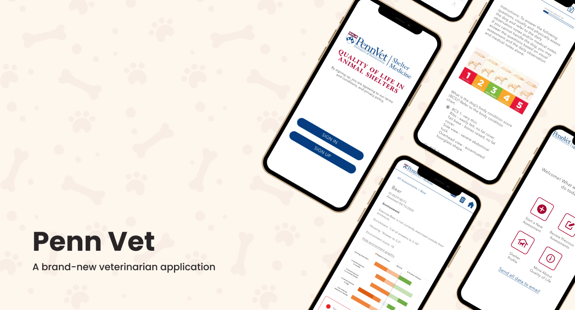 CrossPlatform Mobile App Development Services Interexy