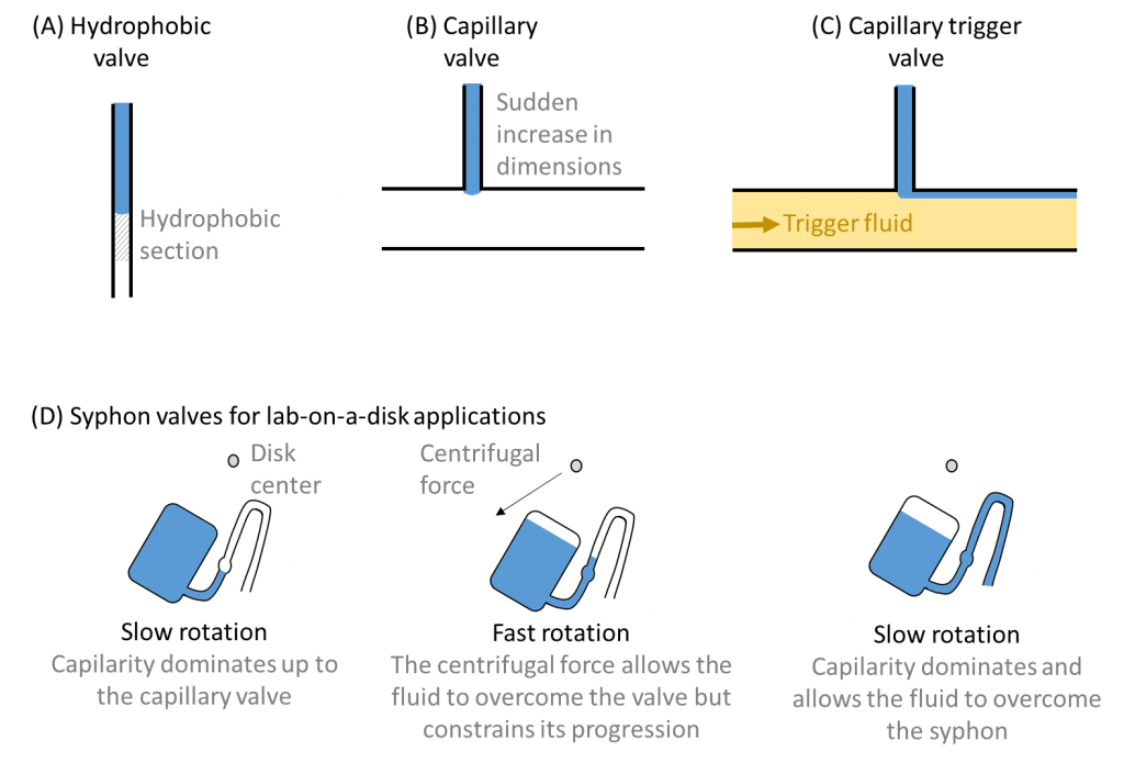 Capillary effects from garden to lab applications The Interface Group